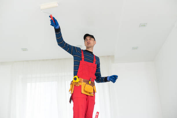 Best Commercial Painting  in Santa Ynez, CA